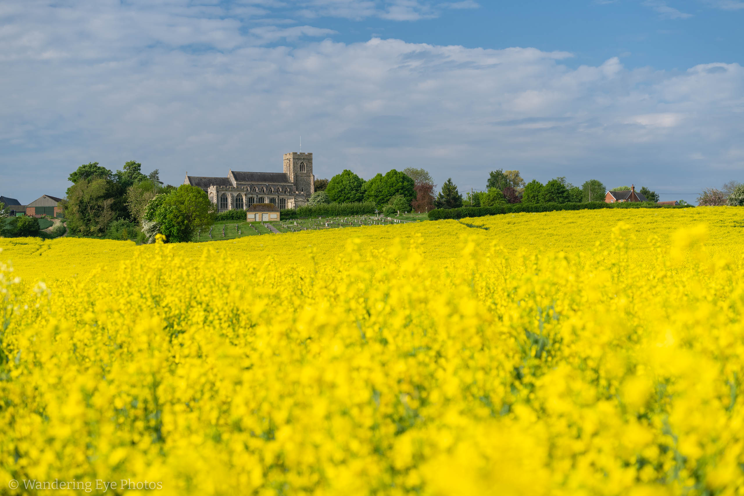 05.02 08.16.14   DSC09857